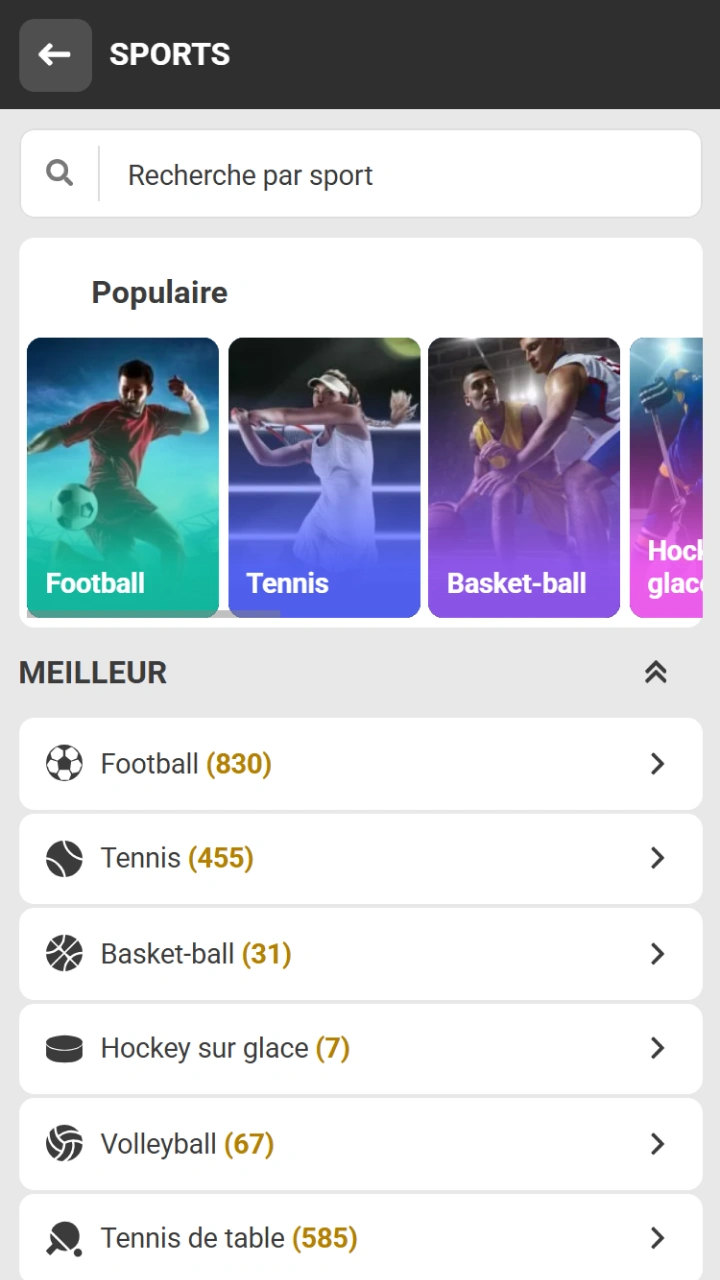 Choisissez votre sport préféré parmi une large sélection chez Melbet.